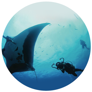 PADI Project Aware Specialist